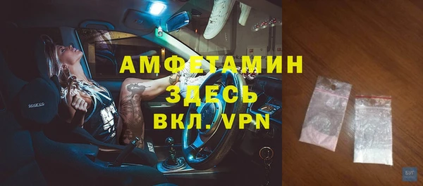 стаф Аркадак
